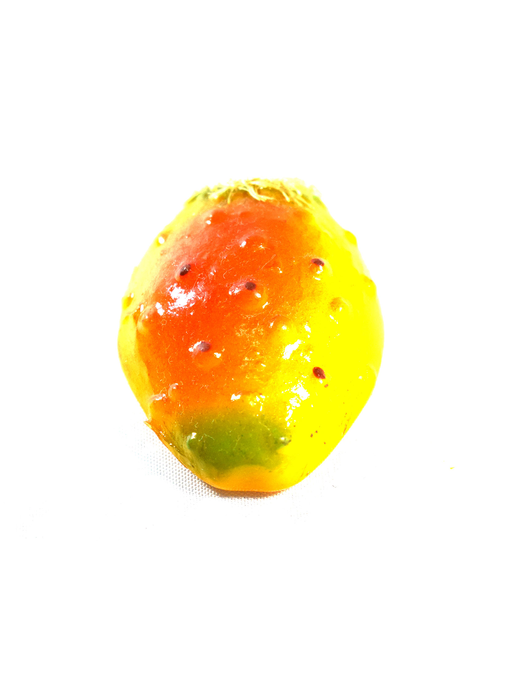 IMÁN DISEÑO TUNA